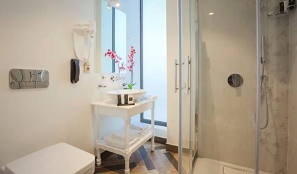 Superior Double or Twin Room with City View