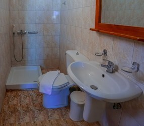 Apartment 1 Bedroom