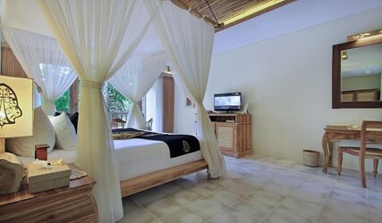Suite with River View