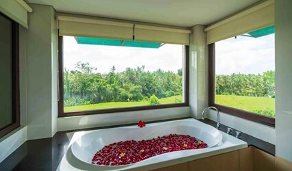 One-Bedroom Suite with Balcony