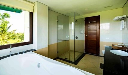One-Bedroom Suite with Balcony