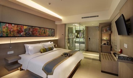 Superior Plus King Room