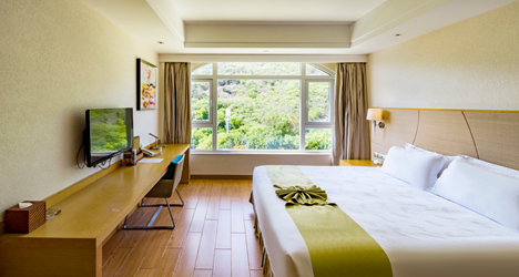 Deluxe Mountain View Room