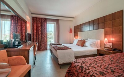 Standard Room Main Building 