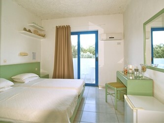 Twin / Double Room