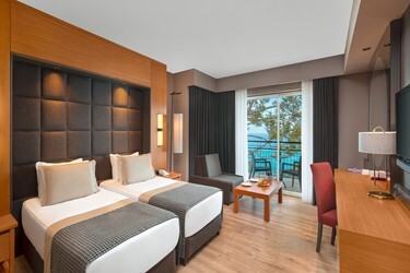 Hotel Suite Room