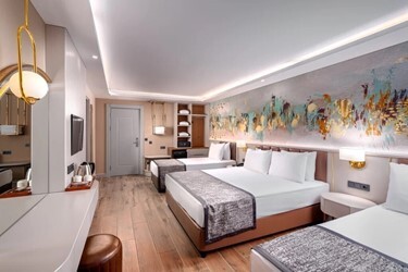 Standard Large Room Land View