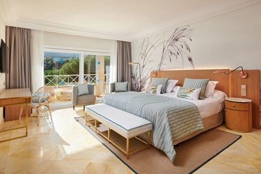 Premium Suite 