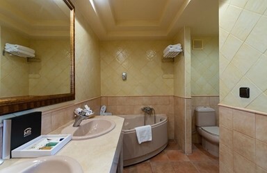 Junior Suite Room