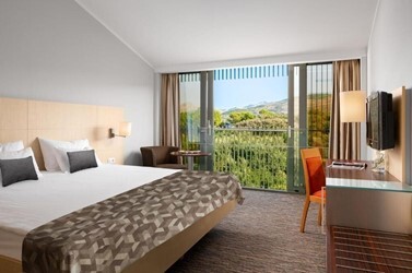 Classic Twin/Double Room Park View
