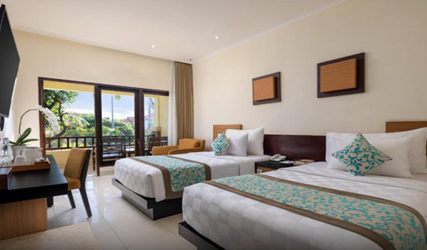 Superior Double or Twin Room