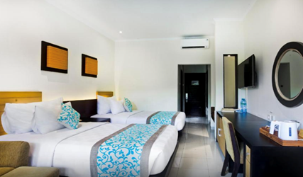 Superior Double or Twin Room