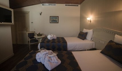 Standard Double or Twin Room 
