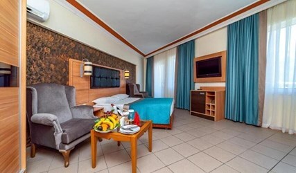 Garden Room Without Balcony