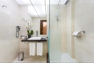 Superior Room Fountain View