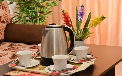 Apartment 1 Bedroom Deluxe APPART