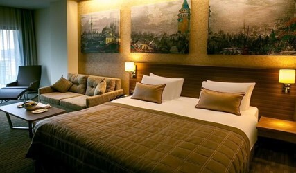 Executive Corner Room