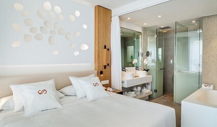 Suite 1 bedroom, Deluxe, Terrace