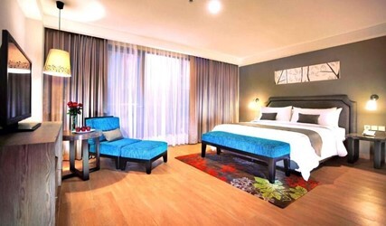 Deluxe Double or Twin Room