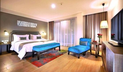 Deluxe Double or Twin Room