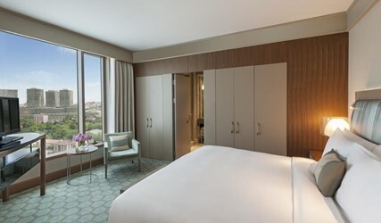 Junior Suite City View With Lounge Access