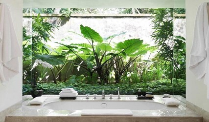 Garden Suite with Free Benefit