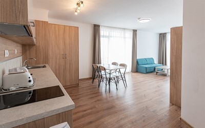 Apartment 1 Bedroom