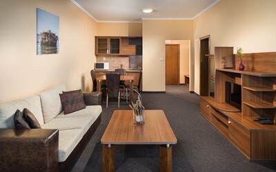 Apartment 1 Bedroom Park View