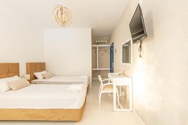 Double or Twin Room with Extra Bed