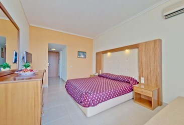 Double Room Standard with Mountain View