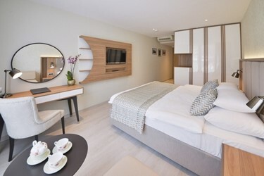 Superior Plus Room