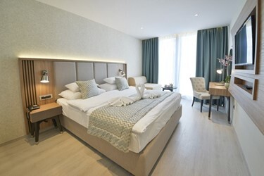 Superior Plus Room