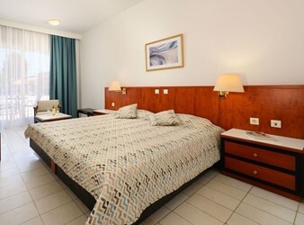 Double Room for Single Use with Garden View