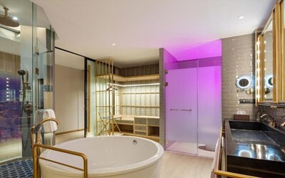 1-bedroom City View Suite