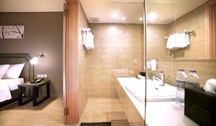 Deluxe Double Room with Pool Access