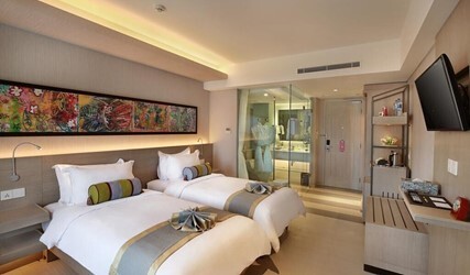Superior Plus Twin Room