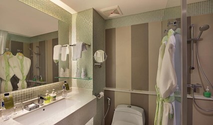 Superior Plus Twin Room