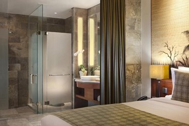 Premier Room