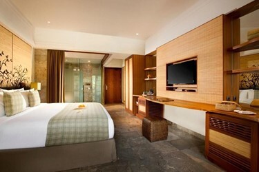 Premier Room