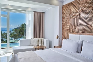 Double Room Superior with Plunge Pool