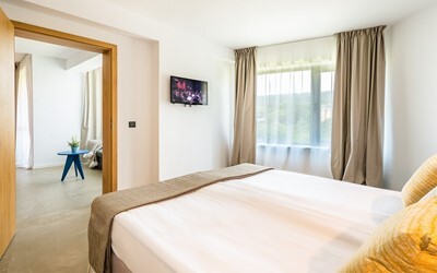 1 Bedroom Apartment Ap1
