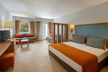 Hotel Large Room