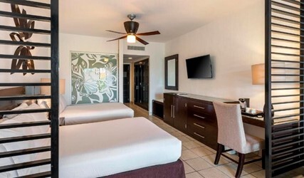 Junior Suite Daisy, Ocean View