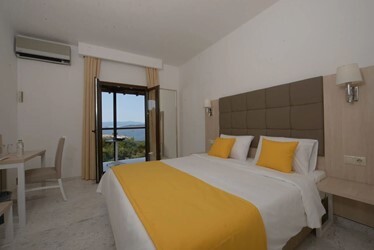 Double Room Standard with Sea View