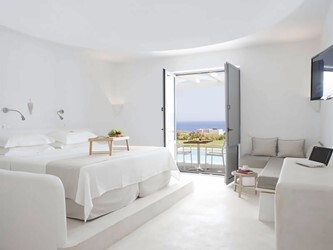 Premium with private pool