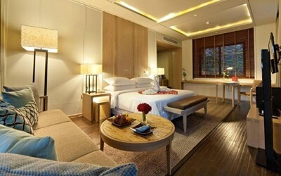 Club Plunge Pool Suite