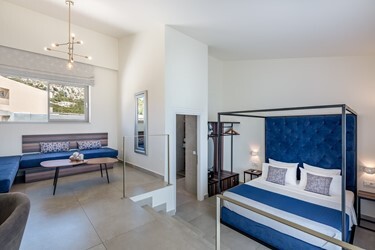Aloe VIP Suite