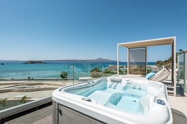Aloe VIP Suite