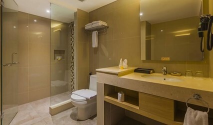 Executive Deluxe Double Room