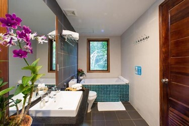 Luxury One Bedroom Villa